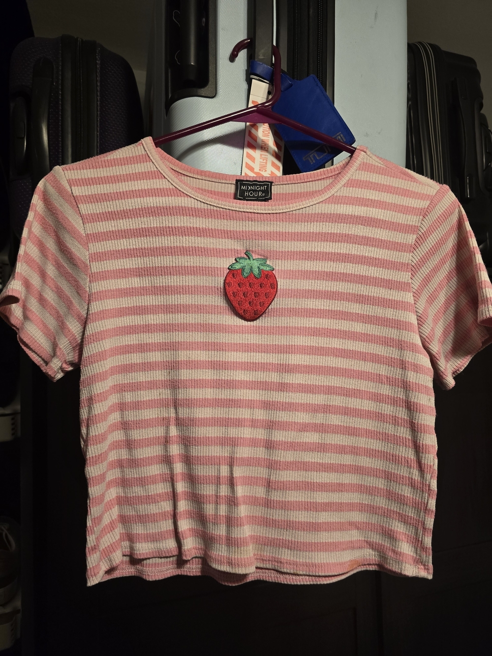 Hot Topic Pink & Light Pink Striped Strawberry Patch Tee